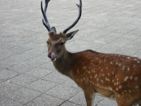 にやり